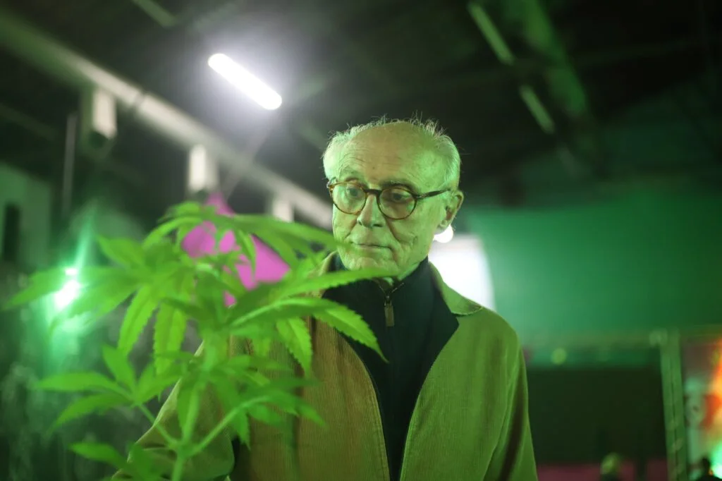 Eduardo Suplicy ao lado de um pé de cannabis, em defesa da cannabis medicinal e da redução de danos