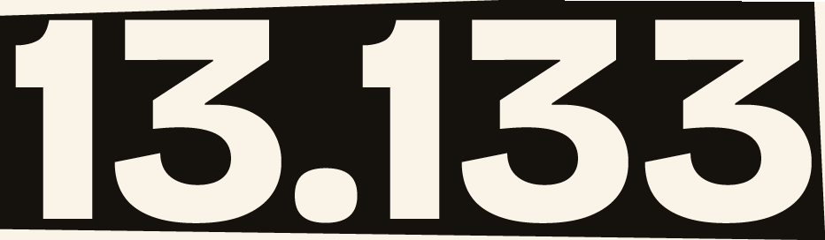 13133